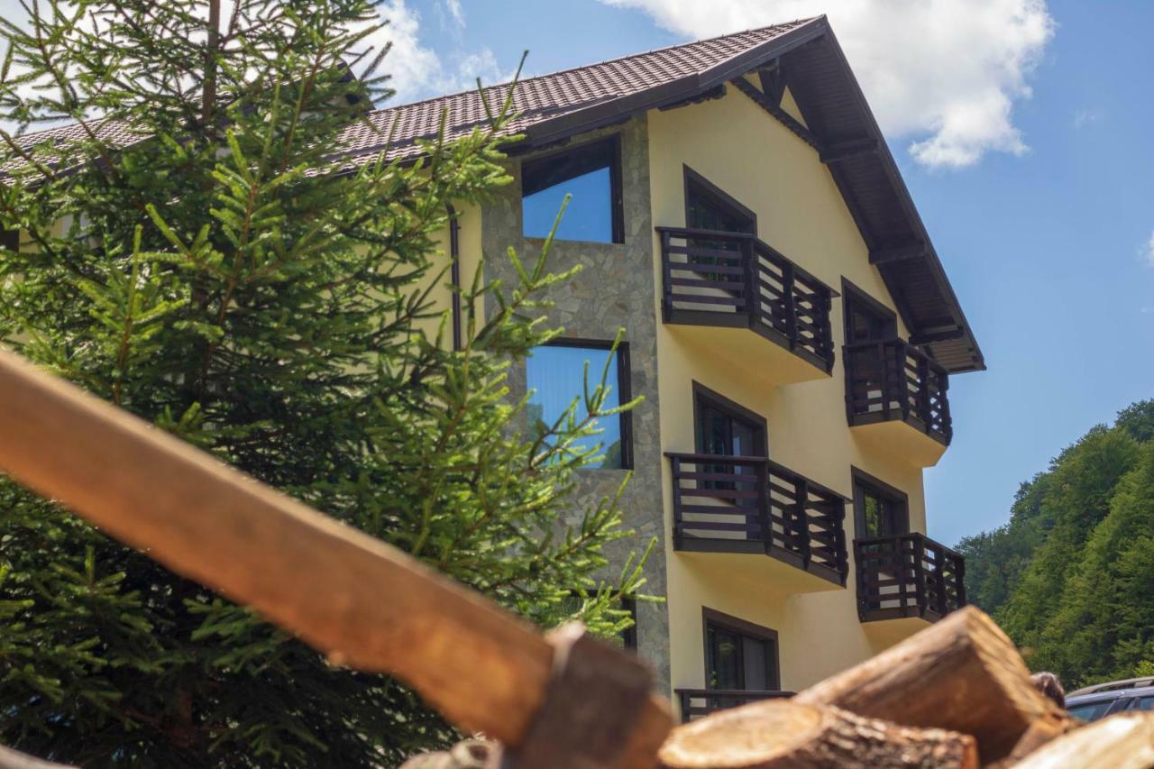 Hotel Casa Valea Cernei Isverna Esterno foto